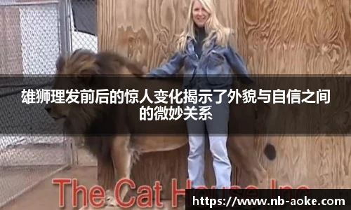 okooo澳客网官网